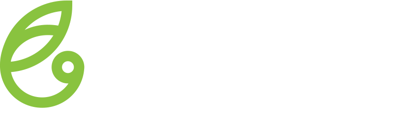 Netseeds
